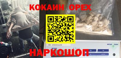 ПСИЛОЦИБИНОВЫЕ ГРИБЫ Тулун