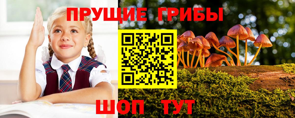 Псилоцибиновые грибы прущие грибы  Вход с VPN  Ливны 